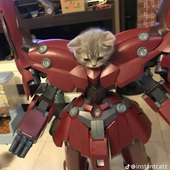 MrPrince__ 的头像