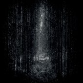 The Shrouded Grove (2014)