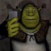 shrek tiktok