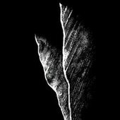z_a5727da3
