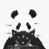 Solh14 的头像