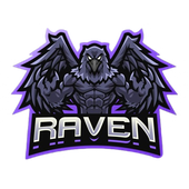 Avatar for ravenx_ttv