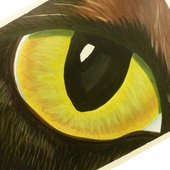 cat's eye
