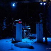 Wolfbait (Ireland)