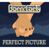Perfect Picture