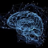 brain_activity_iStock-497487570.jpg