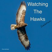 Watching The Hawks - Jumbotown.jpg