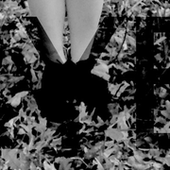 0002914617_100.png