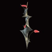 Odu: Vibration Ii