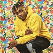 juicewrld — Photo Galleries — BolderBeat