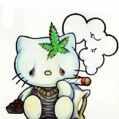 mattykai 的头像