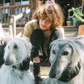 borzoi