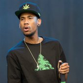 hodgy weed