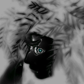 Avatar for LightFlower