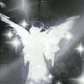 angelboyz 的头像