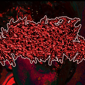 Bilateral Cadaveric Nephrectomy logo