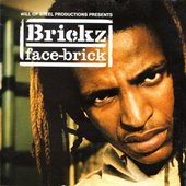 Face Brick