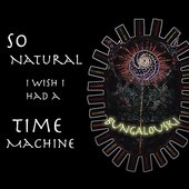 So Natural I Wish I Had a Time Machine