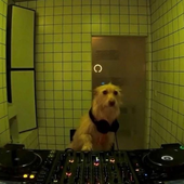 alexxxx200 的头像