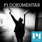 p1d.jpg