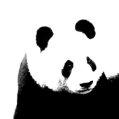 LastFM profile picture for @panda