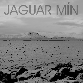 jaguarmin さんのアバター