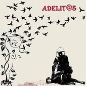Split 12"