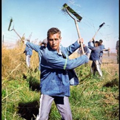 Avatar for muchosalsa
