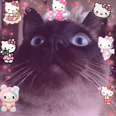pingvinas1 的头像