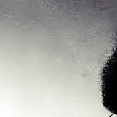 La Frecuencia Plastica