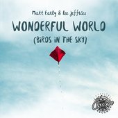 Wonderful World (Birds In The Sky) - Single