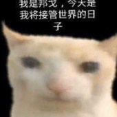 revengeofindigo 的头像