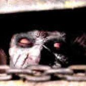 -EvilDead- için avatar