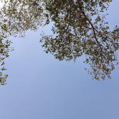 mdnj 的头像