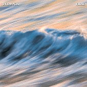 Fluid
