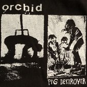 Orchid / Pig Destroyer