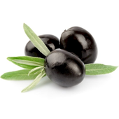 OliveIsAWord 的头像