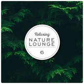 Relaxing Nature Lounge, Vol. 6