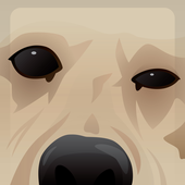Avatar for JonasDoesMusic