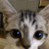 Avatar de osvi_4