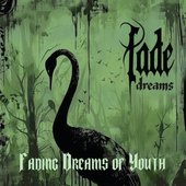 Fading Dreams of Youth