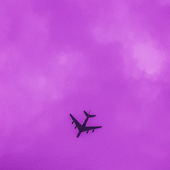 Avatar for peterdope