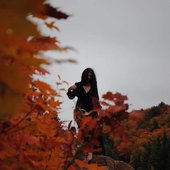 Vila Autumn.jpg