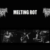 melting rot.jpg