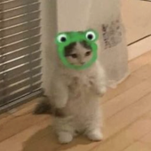 Ozuuuuu 的头像