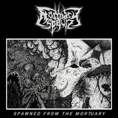 Spawned From The Mortuary