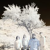 in infrared