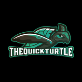 Avatar for TheQuickTurtle