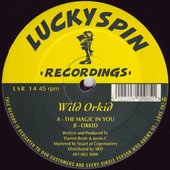 The Magic In You / Orkid