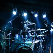 Avicularia - Live in Medika